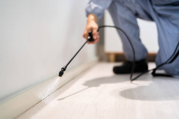 Licensed Mosquito Control service in Cocoa West, FL - Show Me Pest Control