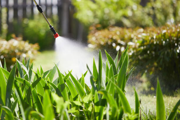 24/7 Emergency Mosquito Control experts in Cocoa West, FL
