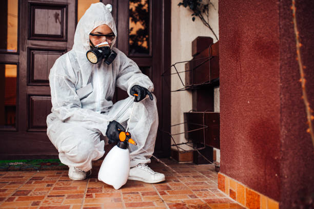 Reliable Mosquito Control contractor in Cocoa West, FL by Show Me Pest Control